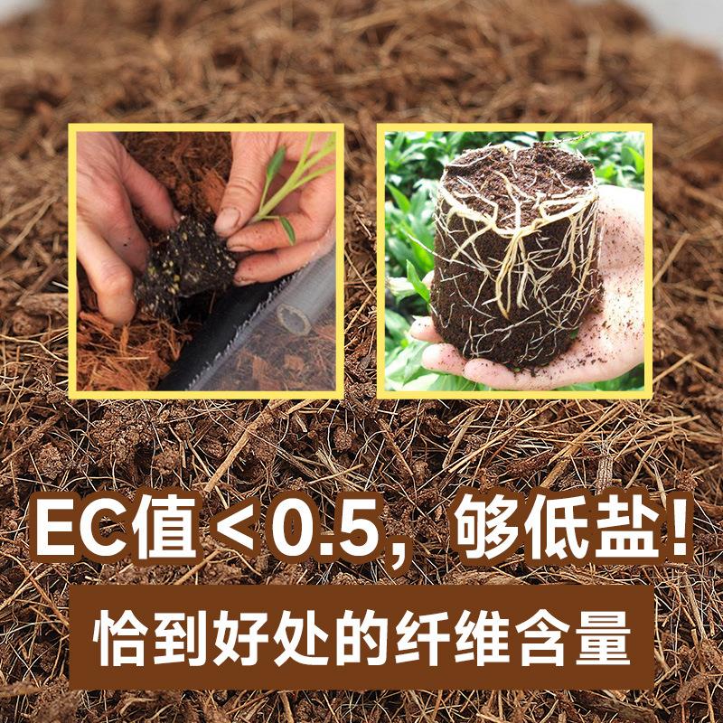 进口斯里兰卡种植绿化育苗基质蓝莓营养土免泡发微压缩装椰糠