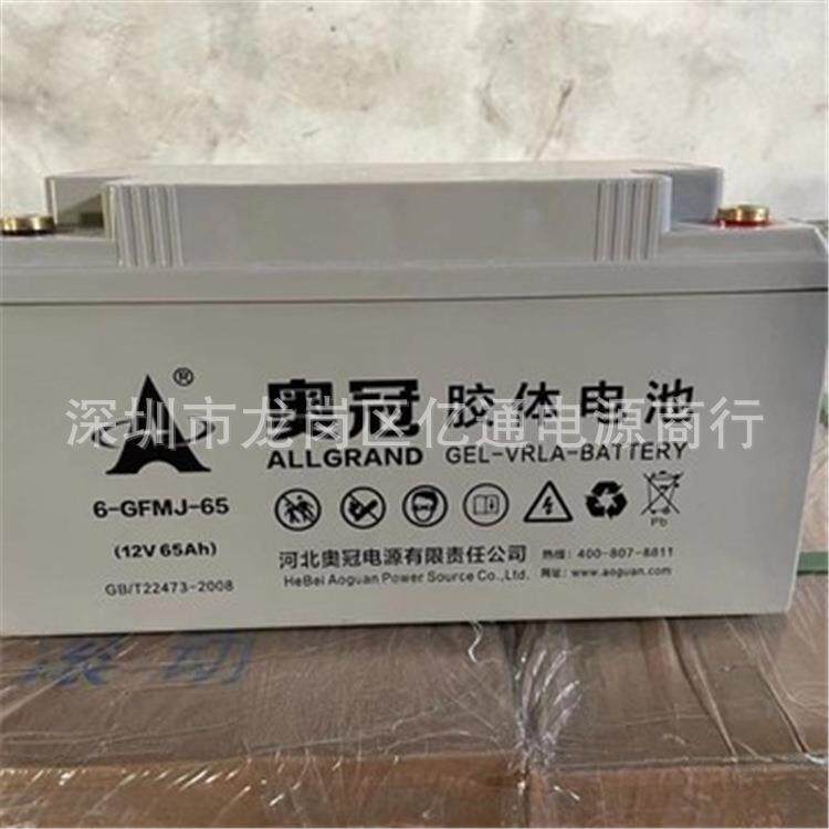 奥冠胶体蓄电池6-GFMJ-65免维护12V65Ah光伏储能 太阳能发电