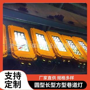 127L巷道灯 防爆灯具防水防尘48W隔爆型LED照明灯DGS48
