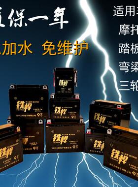 摩托车电瓶12V9a蓄电池干电池125助力踏板弯梁车7AH5a免维护通用