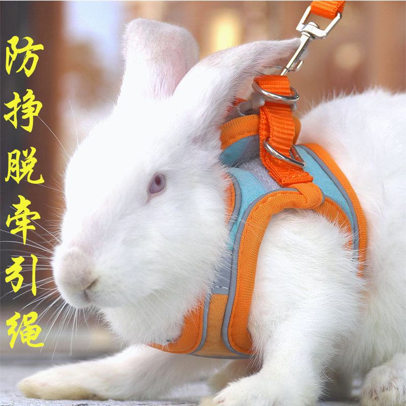 粉色兔兔牵引绳溜兔子可调节防挣脱兔绳外出专用防咬可爱风溜兔绳