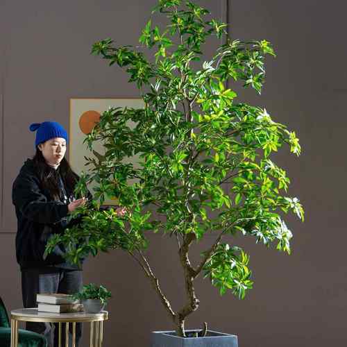 巨大型马醉木仿真树绿植假树盆栽室内客厅造景观装饰落地植物摆件