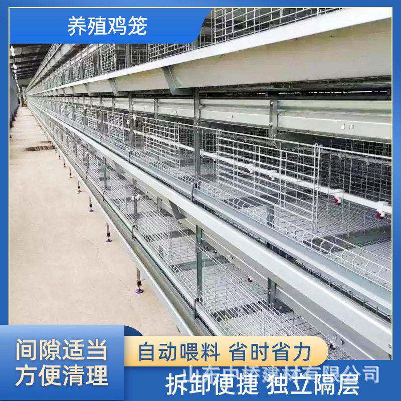 肉鸡A型笼层叠式鹌鹑笼肉鸡H型笼框架蛋鸡笼全自动养殖笼具鸽子笼