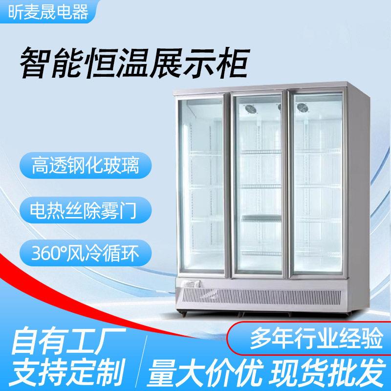 立式冷冻展示柜商用速冻柜急冻榴莲肉类冻品三门双门全屏展示冰柜