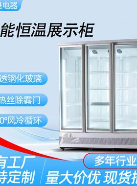 立式冷冻展示柜商用速冻柜急冻榴莲肉类冻品三门双门全屏展示冰柜