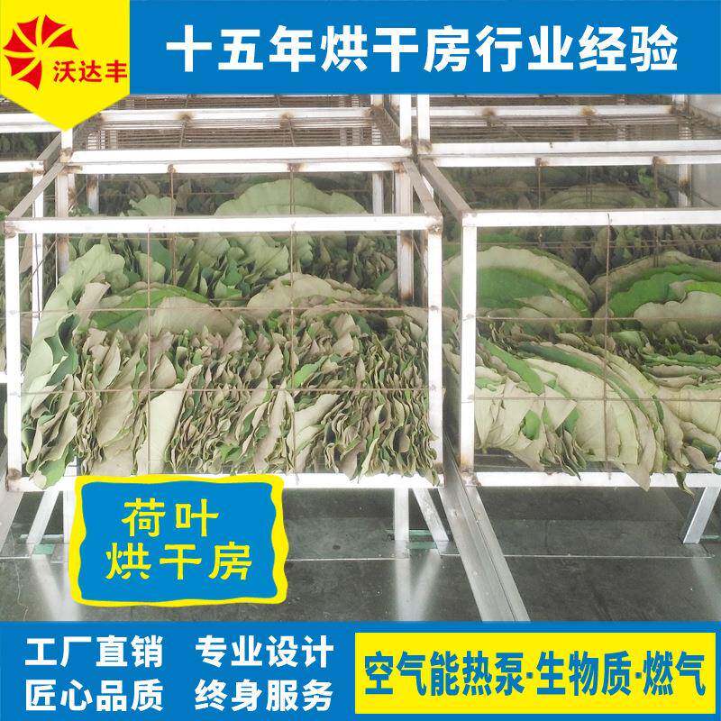 湖南厂家直供荷叶烘干机，莲叶干燥设备，空气能荷叶烘干房