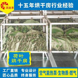 湖南厂家直供荷叶烘干机，莲叶干燥设备，空气能荷叶烘干房