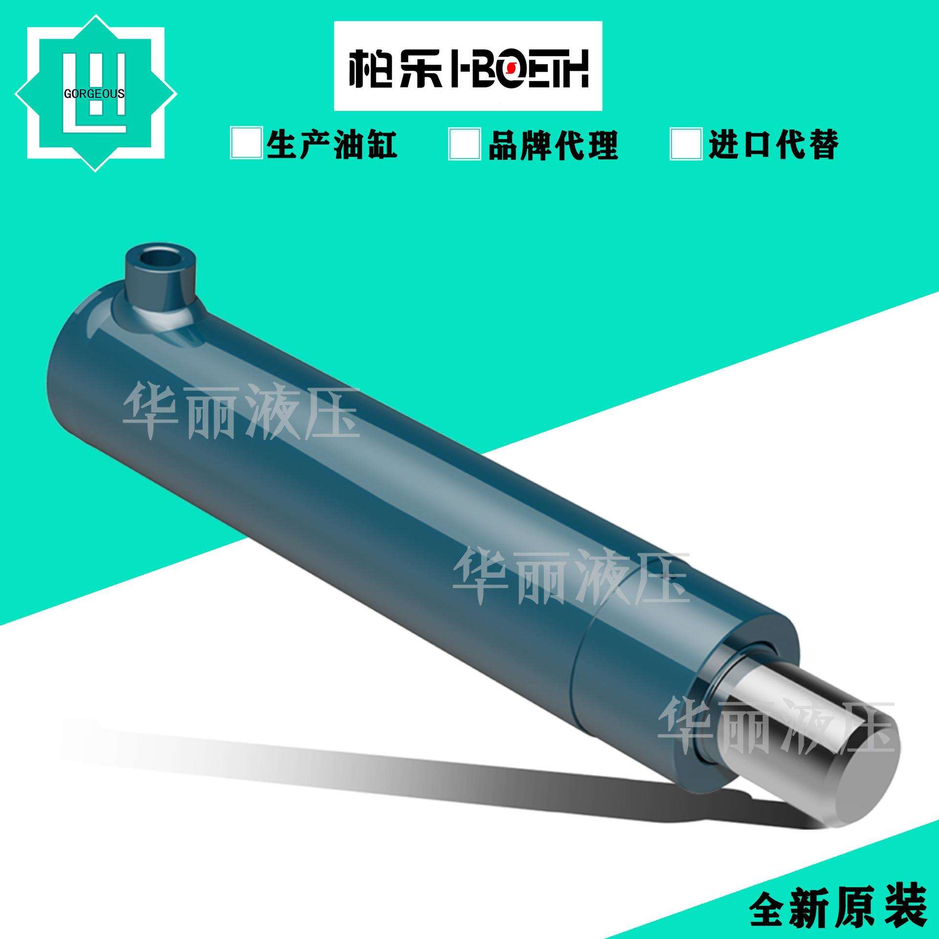 柏乐 小型双向油缸 BTF030025.0100 BIN/BFF/025016.0050 液压缸