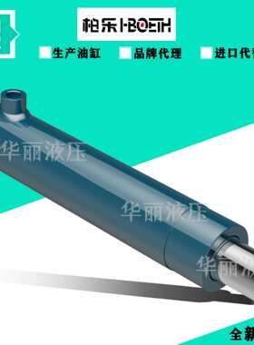 柏乐 小型双向油缸 BTF030025.0100 BIN/BFF/025016.0050 液压缸