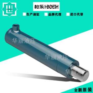 柏乐 小型双向油缸 BTF030025.0100 BIN/BFF/025016.0050 液压缸
