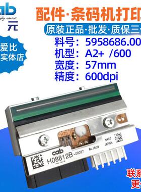 德国铠博CABA2+600dpi打印头5958686.001条码标签热敏印字针头