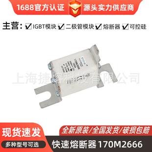 型号齐全 170M2666 量大价优 器件 电子元 170M2667 快速熔断器