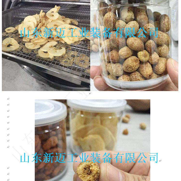 非油炸苹果片低温膨化设备真空压差膨化机草莓脆鱼片闪蒸机
