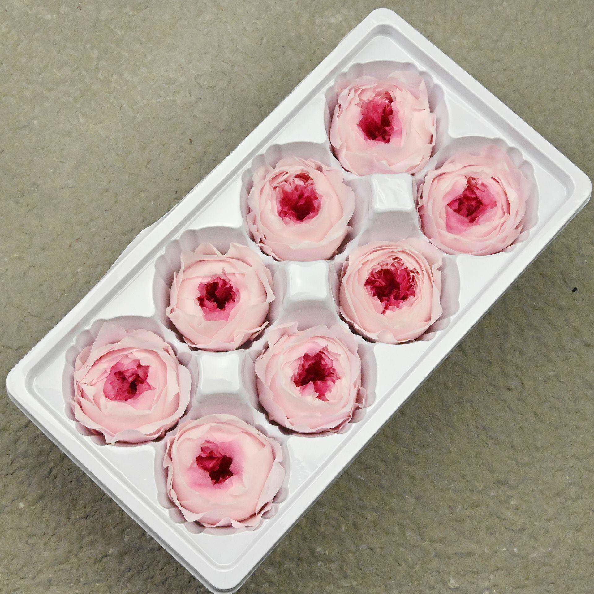 A级4-5奥斯汀8朵/盒diy花材材料包钥匙链挂件玻璃罩