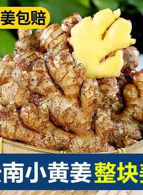 云南小黄姜农家自种5斤新鲜现挖生姜嫩姜月子姜土姜老姜时令蔬菜