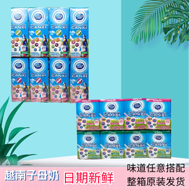 越南进口荷兰子母奶110ml48盒甜牛奶草莓 原味哒露奇含乳饮品