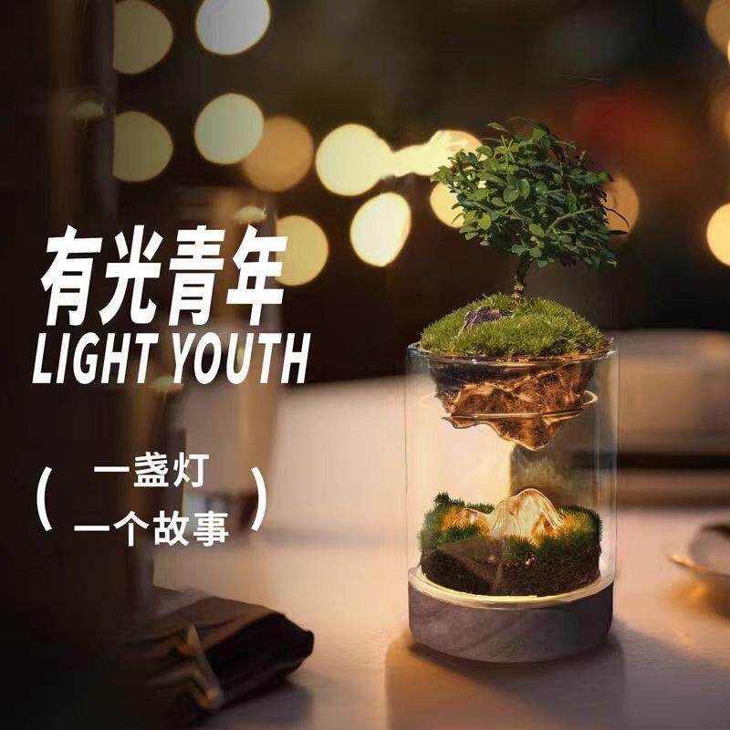 (有光青年)苔藓微景观生态瓶办公桌面绿植室内diy植物造景盆栽