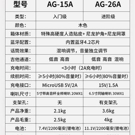 罗兰电木吉他音箱充电民谣w户外弹唱K歌无线蓝牙音响便携演出