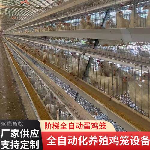 自动化养殖设备多层叠式蛋鸡笼养鸡喂料机捡蛋机全自动阶梯蛋鸡笼