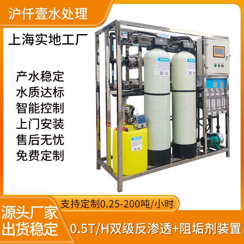 500L/H双级反渗透设备食品油漆涂料行业去离子水机工业RO纯水设备