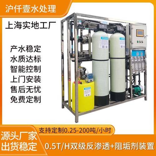 500L/H双级反渗透设备食品油漆涂料行业去离子水机工业RO纯水设备