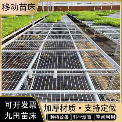 移动苗床大棚温室育苗床种植物花卉无土栽培固定镀锌架子网片工程