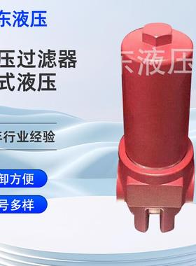 黎东液压DFBN/HC30/60/110/140G10W5C1X/L24油压过滤器管式液压