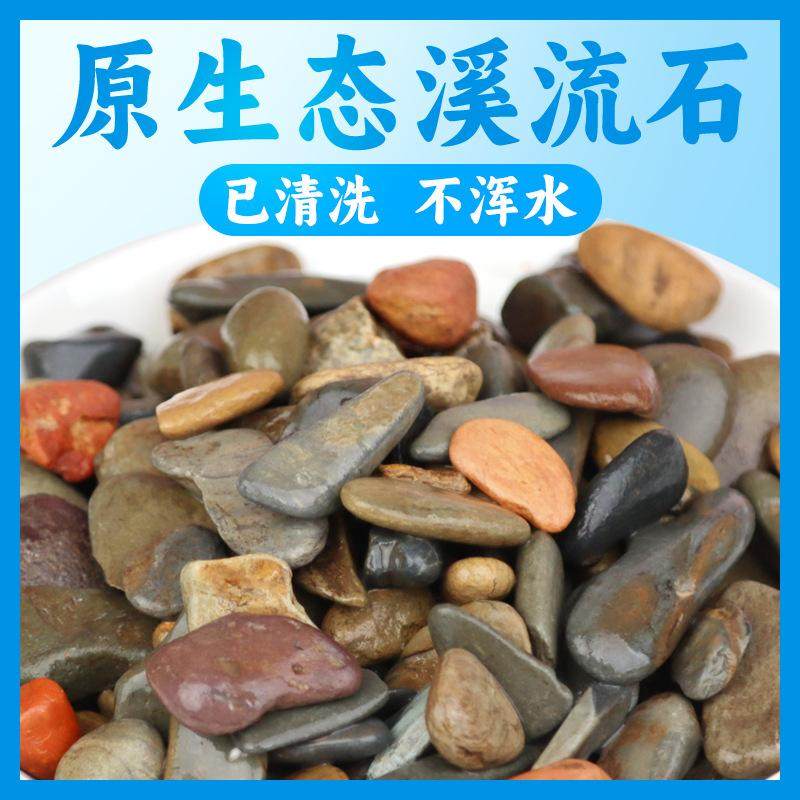 鱼缸造景溪流溪流水草南美装饰