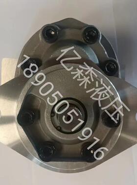 替代EATON伊顿齿轮泵P25507-LAU轴径22mm41齿 布勒2375拖拉机专用