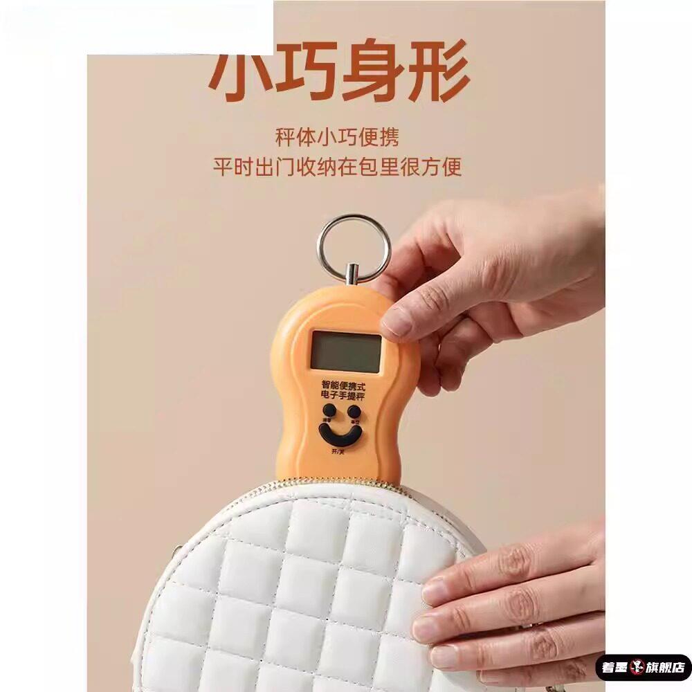 商用便携式小型手提电子秤德国高精度充电款家用弹簧称克称随身带图片