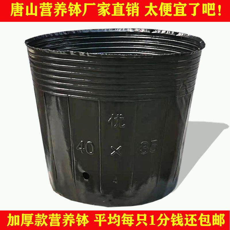 加厚营养钵育苗钵育苗杯育秧盆花盆营养杯大号黑色塑料一次性装土