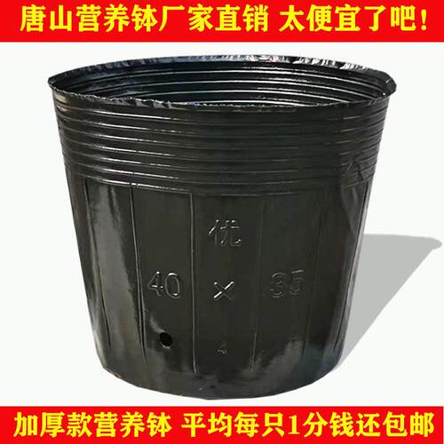 加厚营养钵育苗钵育苗杯育秧盆花盆营养杯大号黑色塑料一次性装土