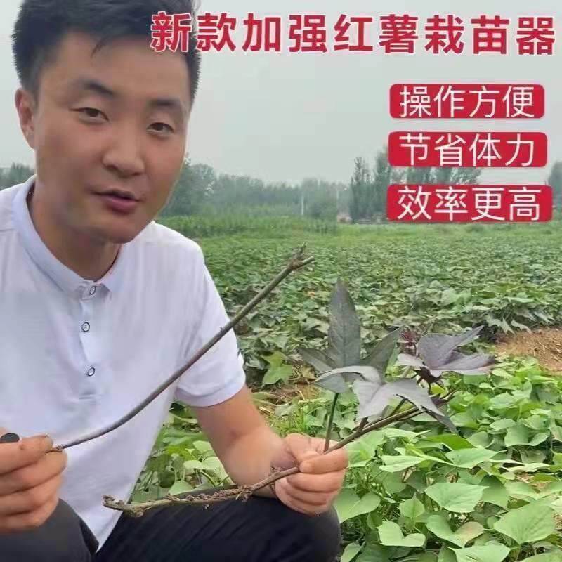 红薯栽苗器地瓜插苗器蔬菜种植工具叉子平栽工具葱苗栽苗器神器