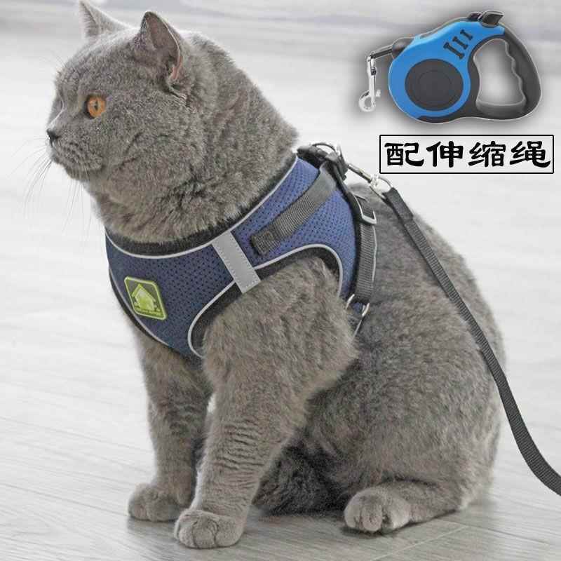 猫牵引绳自动伸缩伸缩透气绳子猫咪挣脱猫绳