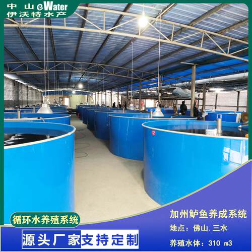 工业化高密度水产养殖工厂循环水养殖设备
