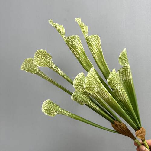 瓶子草猪笼草 仿真花植物配件造景花艺家居设计软胶叶材工厂直销