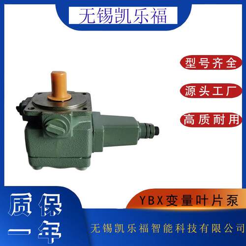 叶片泵1PV2V3-40/25RA01MC100A1机床油泵1PV6V3-30/40RA08MC63A1