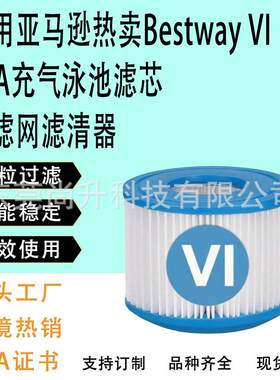 通用 亚马逊热卖Bestway VI spa充气泳池滤芯水池过滤网滤清器