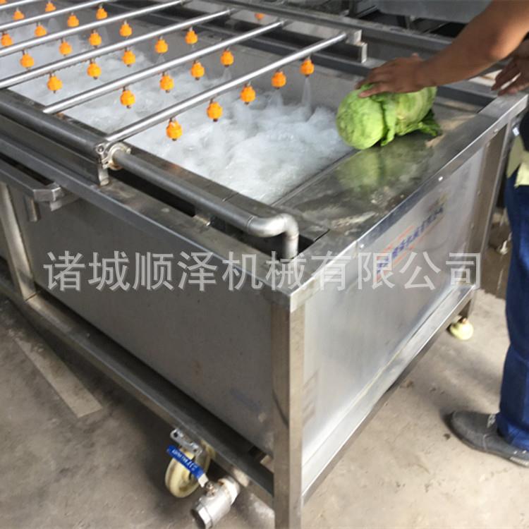 厂家直销果蔬加工设备气泡果蔬清洗机蔬菜水产品气泡清洗设备