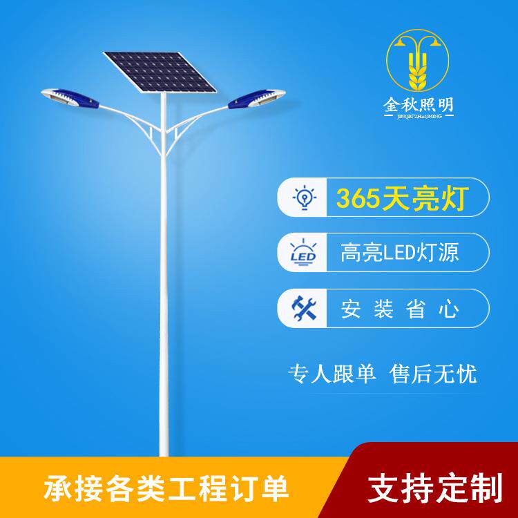 厂家定/制大功率LED双臂太阳能路灯8米9米10米太阳能路灯杆简约