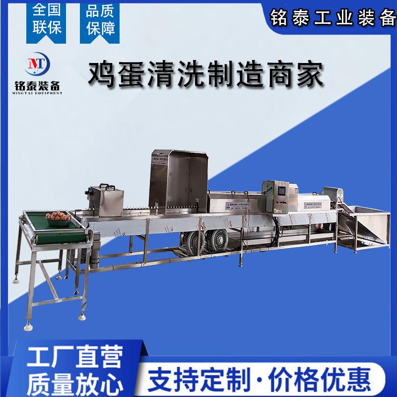 洗蛋机供应商全自动鸡蛋清洗风干设备鸭蛋松花蛋深加工机器