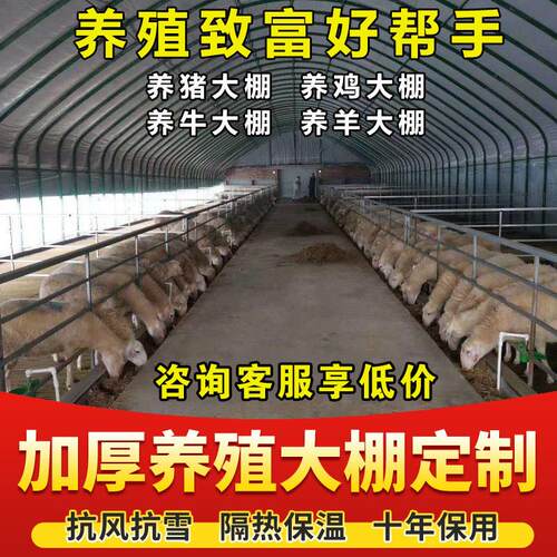 养殖大棚全套钢管骨架椭圆管温室养鸡鸭鹅兔猪舍羊圈牛棚搭建猪棚