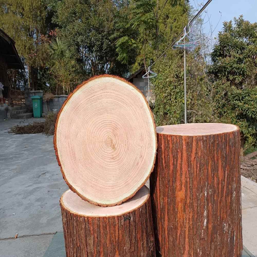 实木墩子原木凳子天然木桩树墩原木桩树桩梓木树墩子底座花架摆件