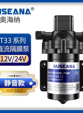 T337.6升房车水泵系统12v24v游艇快艇专用加水泵直流自吸隔膜泵