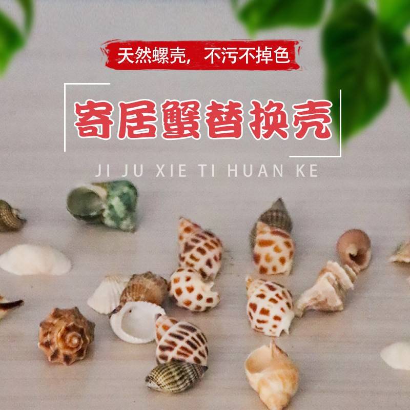 混装天然贝壳海螺海星鱼缸造景卷贝鱼水族箱寄居蟹装饰品手工套餐