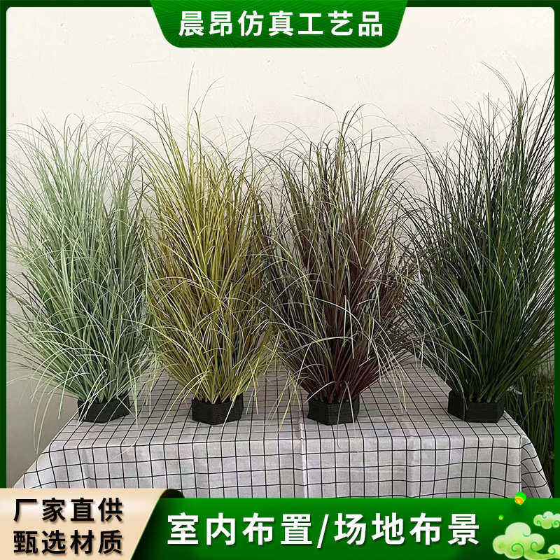 芦苇草坪园艺洋葱仿真纯酒店草丛草绿装饰草堆花草造景植户外水草