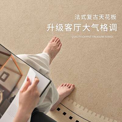 异形qr181125毯不规则地厅耐脏防水客洗防污易打理免可擦复古沙发