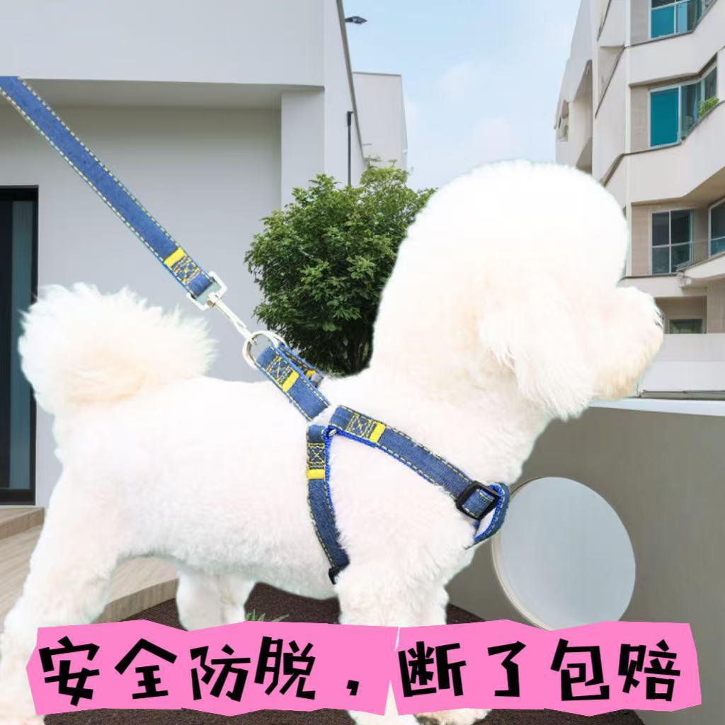 跨境狗狗牵引绳大型中型小型犬狗链子狗项圈泰迪金毛遛狗绳子宠物