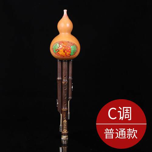 高档子乐芦演丝专业奏葫型成人小学生c降b小dagf调云调南紫竹初学