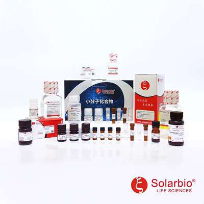 IM9000甲基-β-环糊精水溶性环庚糖cholesterol去除剂索莱宝